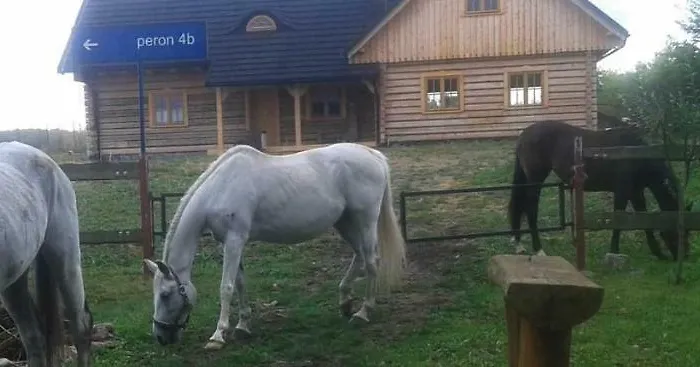 Alojamento de Turismo Rural Agroturystyka Zloty Klos *