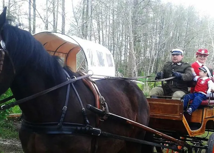 Agroturystyka Zloty Klos * Poznań